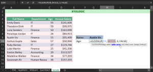 Excel VLOOKUP: Easy Ways To Find Data From Large Sets